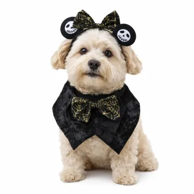 Cute Dog Wearing Halloween Skull Headband and Bow Collar Set small dog wearing halloween skull headband and black velvet bow collar costume set