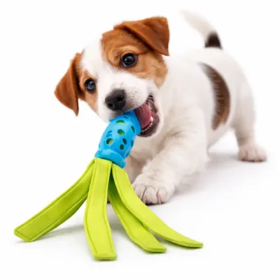 puppy biting interactive dog chew toy with treat dispensing durable dog toy for aggressive chewers