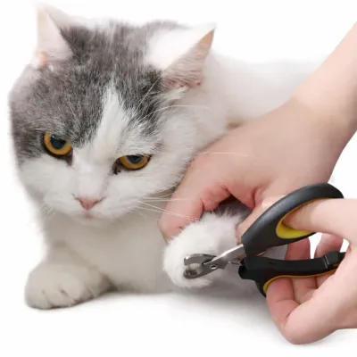 Cat Nail Clippers for Safe Grooming – Petfairs Wholesale cat nail clippers trimming cat paw safely close-up pet grooming tool