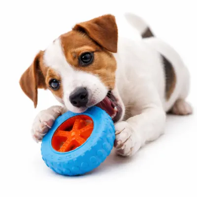 Durable Dog Tire Chew Toy for Aggressive Chewers Petfairs dog chewing durable tire chew toy for aggressive chewers blue rubber dog toy