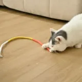 A person's hands holding one end of a colorful rope toy while a white cat sniffs and prepares to play with the silvervine end.