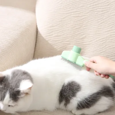 A person using a light green self-cleaning slicker brush to groom a white and grey cat on a beige sofa.