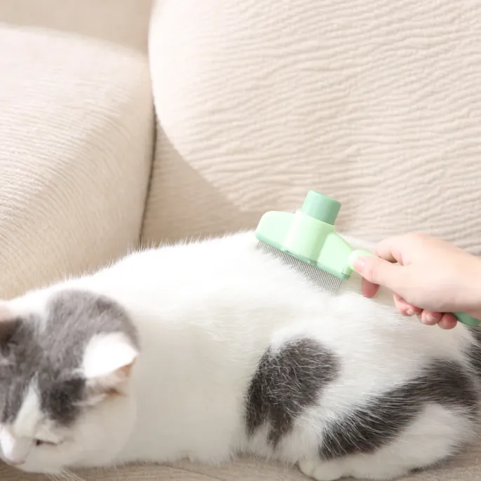 Self-Cleaning-Cat-Slicker-Brush-Action A person using a light green self-cleaning slicker brush to groom a white and grey cat on a beige sofa.