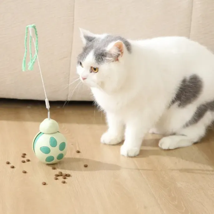 A white and grey cat looking curiously at a green 2-in-1 treat dispensing ball and teaser toy on a wooden floor.