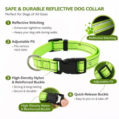 reflective-nylon-dog-collar-key-features Infographic highlighting four key features: reflective stitching, adjustable fit, high-density nylon, and a quick-release buckle.