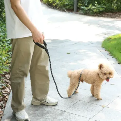 Walking Dog with Reflective Rope Leash A person walking a small dog in a park using a black reflective rope leash.
