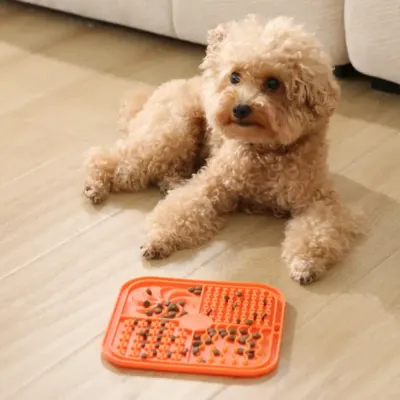 Dog Training Licking Mat with Dry Food Treats A small curly-haired dog lies on its stomach on a light brown wood grain floor, looking towards the left.