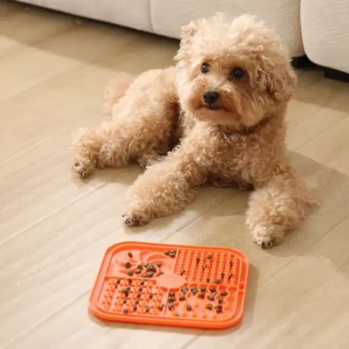 A small curly-haired dog lies on its stomach on a light brown wood grain floor, looking towards the left.