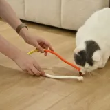A white cat biting and playing with an orange and yellow cotton rope toy on a wooden floor.