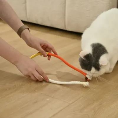 A white cat biting and playing with an orange and yellow cotton rope toy on a wooden floor.