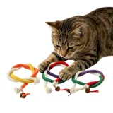 A domestic tabby cat lies on a white background, its paws resting on multiple intertwined cotton rope cat toys with attached silvervine fruit, with another coiled toy to the side.