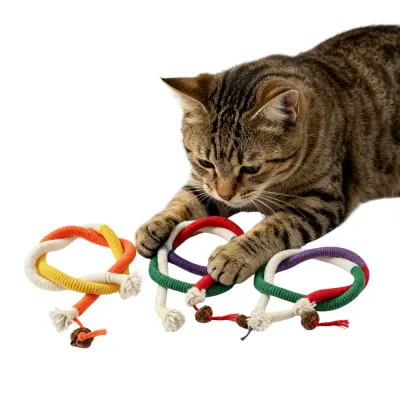 tabby-cat-chooses-silvervine-rope-toys A domestic tabby cat lies on a white background, its paws resting on multiple intertwined cotton rope cat toys with attached silvervine fruit, with another coiled toy to the side.