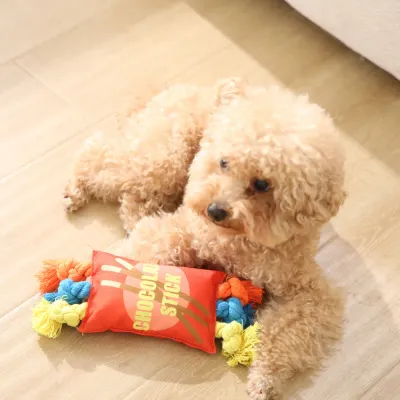 Interactive Dog Rope Toy Indoor Play Training Toy Petfairs small dog playing rope chew toy indoor interactive training toy