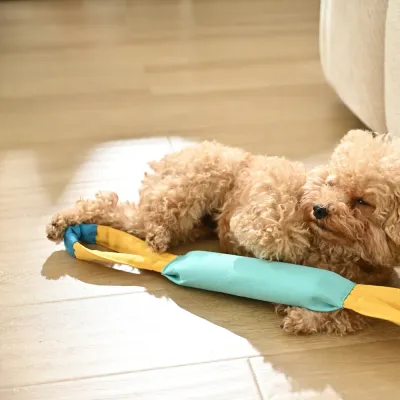 Small-Dog-Relaxing-With-Tug-Toy A small poodle-mix dog resting on a wooden floor next to a blue and yellow durable tug toy.