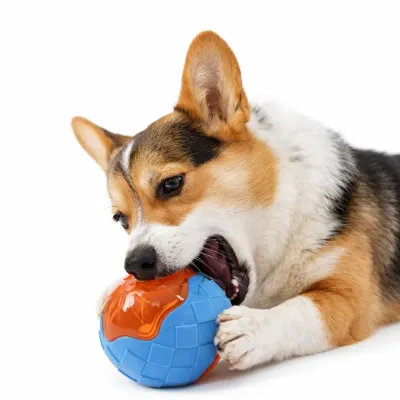 dog chewing durable rubber ball toy for aggressive chewers textured interactive dog toy