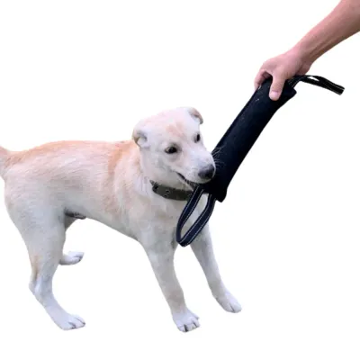 dog-tug-of-war-training-exercise A person holding one handle of a black tug toy while a dog pulls on the other end during training.