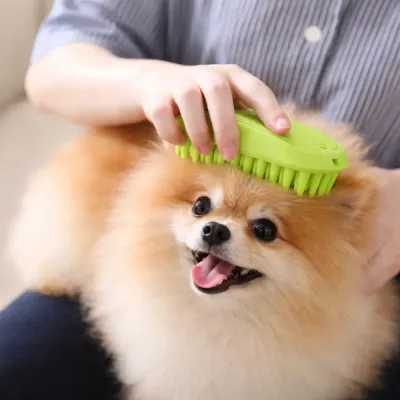 A happy Pomeranian dog being brushed with a green silicone grooming tool.