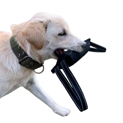 10 10