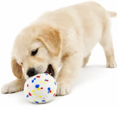 A Golden Retriever puppy lying down and chewing on a white textured dog ball with blue, red, and yellow spots.
