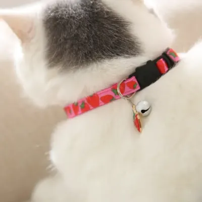 White Cat Wearing Strawberry Pattern Collar Close-up of a white cat from behind wearing a pink strawberry print collar with a silver bell and fruit charm.