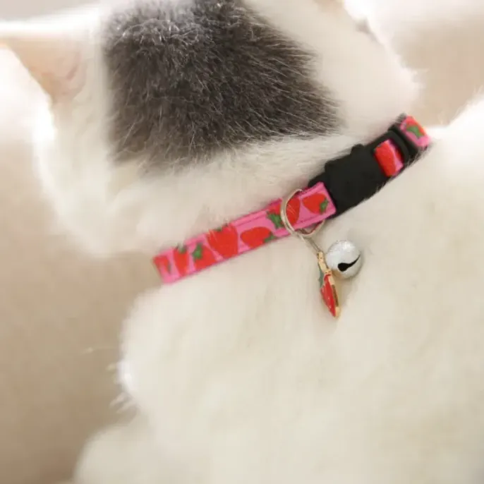 White Cat Wearing Strawberry Pattern Collar Close-up of a white cat from behind wearing a pink strawberry print collar with a silver bell and fruit charm.