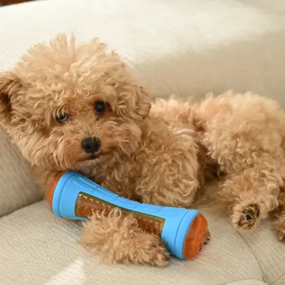 small dog playing with squeaky chew toy indoor soft rubber bone toy for puppies