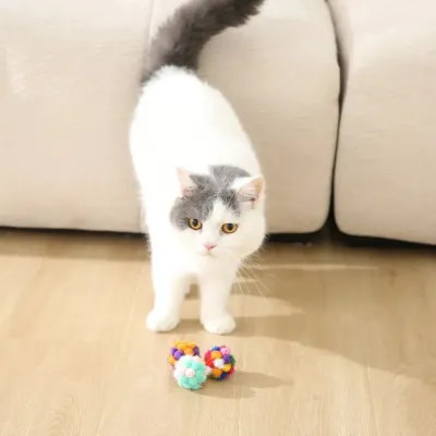 cat playing with plush ball toy indoor colorful cat toy for exercise and entertainment