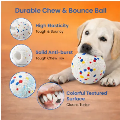 Infographic highlighting features: high elasticity, solid anti-burst material, and textured surface for cleaning tartar.