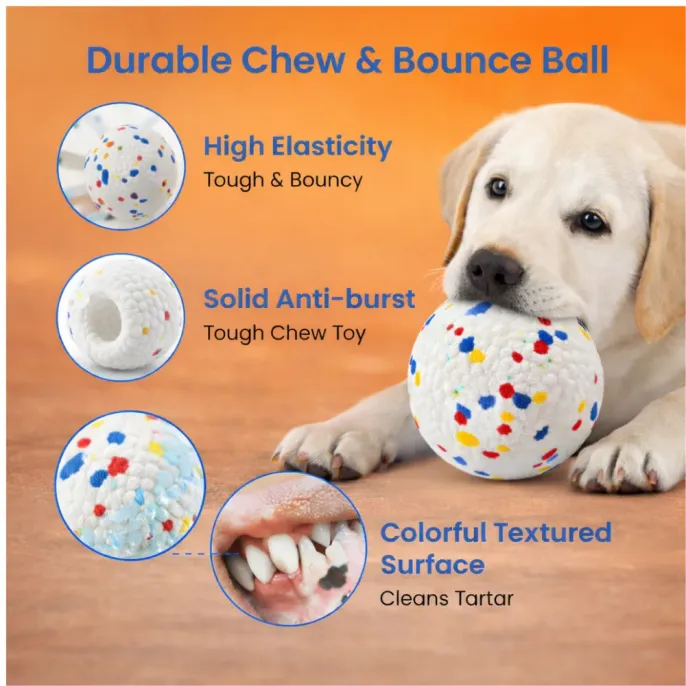 durable-chew-bounce-dog-ball-features Infographic highlighting features: high elasticity, solid anti-burst material, and textured surface for cleaning tartar.