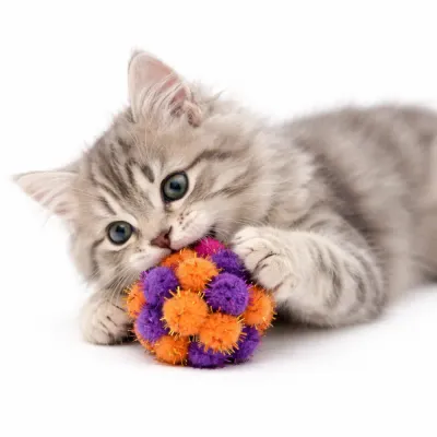 kitten playing with colorful plush cat ball toy with bell interactive lightweight cat toy