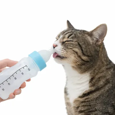 kitten feeding with pet nursing bottle soft silicone nipple feeder for newborn pets