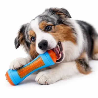 dog chewing durable squeaky bone toy for aggressive chewers blue orange rubber dog toy
