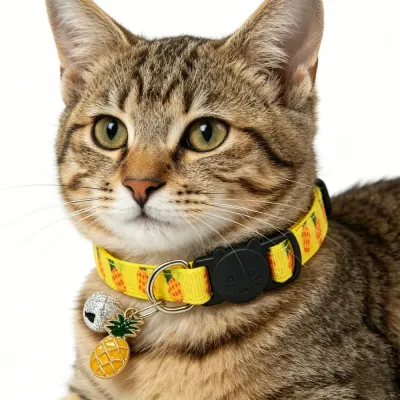Tabby Cat Wearing Yellow Fruit Collar A tabby cat portrait showcasing a yellow pineapple collar with a black cat-shaped breakaway buckle and a bell.
