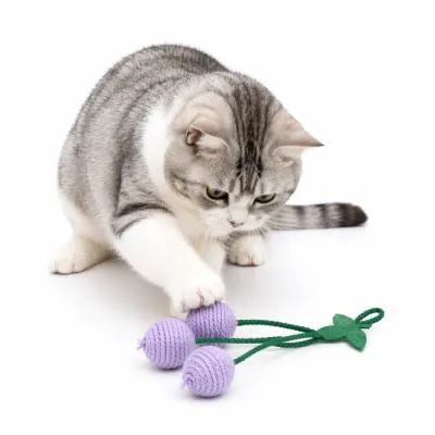 cat playing with grape shaped interactive toy white background cotton rope cat toy