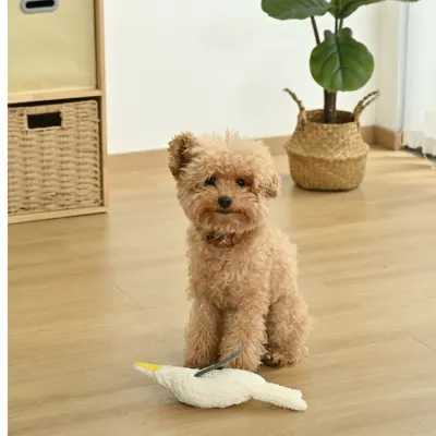 small dog playing plush squeaky toy indoor soft chew toy for puppies