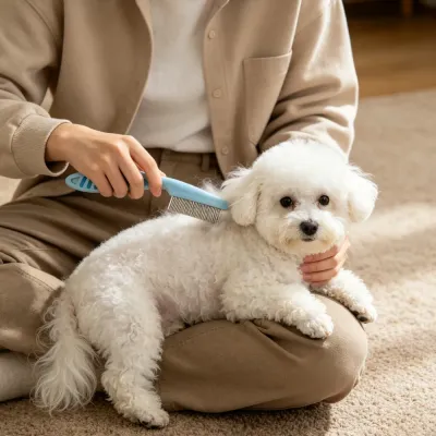 A person is grooming a Bichon Frise dog with a blue pet flea comb, which has fine stainless steel teeth to remove pests and loose fur.