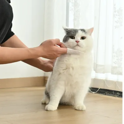 Using Cat Chin Cleaning Wipes on Cat | Pet Grooming Routine | Petfairs cleaning cat chin with pet wipes removing blackheads grooming cat daily care wipes