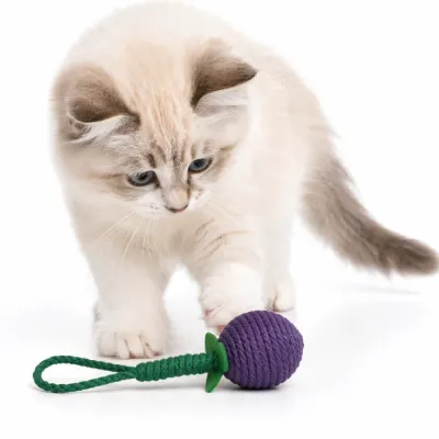 cat playing with cotton rope grape ball toy interactive pet toy for cats