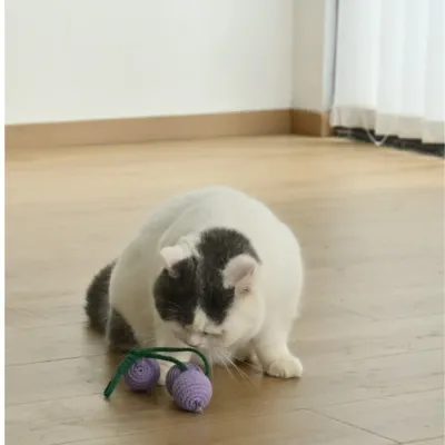 cat playing with grape cat toy on floor interactive indoor cat exercise toy