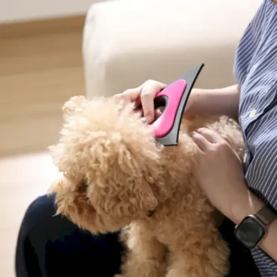 Using-Pet-Fur-Remover-on-Dog-Coat A person using the pink triangular pet hair remover to gently brush a fluffy brown dog.