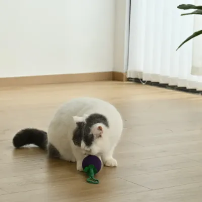 cat playing with rope ball toy indoor interactive cat toy for exercise