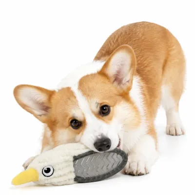 Durable Plush Dog Toy for Aggressive Chewers with Squeaker | Petfairs corgi dog chewing durable plush squeaky dog toy wild bird design for aggressive chewers