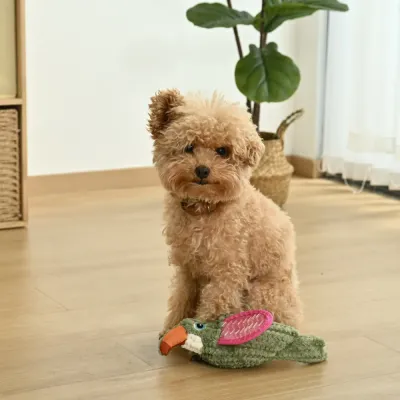 Dog Playing with Plush Bird Dog Toy Indoor Interactive Pet Toy Bulk small dog playing with plush bird squeaky dog toy indoor interactive dog toy for enrichment