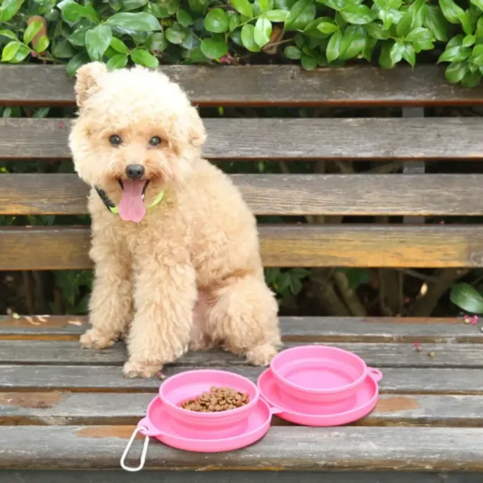 small-poodle-using-pink-travel-bowls-outdoor A small light-brown poodle sitting on a wooden park bench next to a set of pink double collapsible food and water bowls.