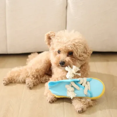 A fluffy brown dog resting with a light blue squeaky shoe toy featuring yellow soles.
