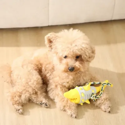 A small tan poodle resting on a wooden floor with the yellow shark teething toy.