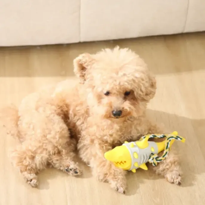 Small-Breed-Dog-Playing-With-Shark-Toy A small tan poodle resting on a wooden floor with the yellow shark teething toy.
