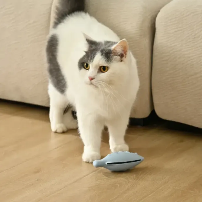 A white cat standing next to a blue fish-shaped toy showing the hollow side vent for catnip or treats.