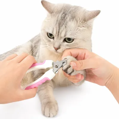 A person gently holding a grey tabby cat's paw while using the professional clipper to trim its nails.
