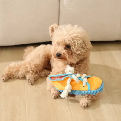 A small brown poodle lying on a wooden floor next to an orange canvas shoe toy with blue trim.